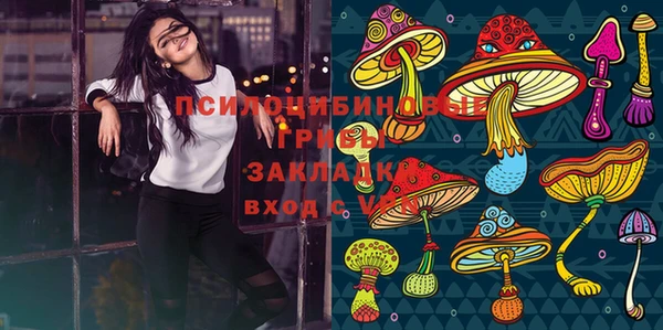 скорость Арсеньев