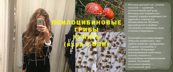 apvp Армянск