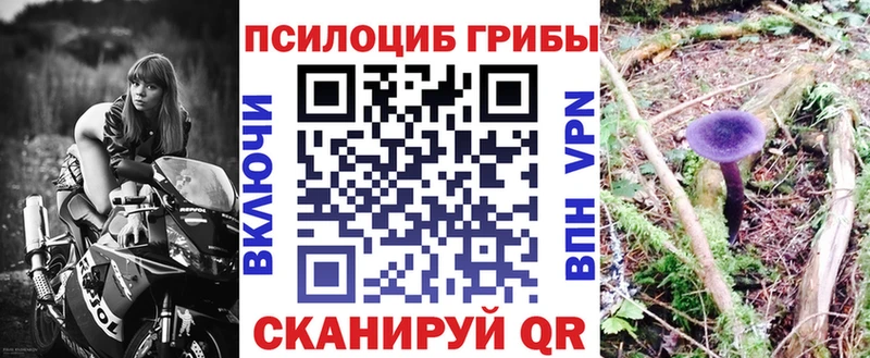 закладки  Усть-Илимск  Галлюциногенные грибы GOLDEN TEACHER 